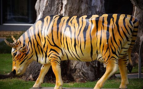 A cow statue with tiger stripes