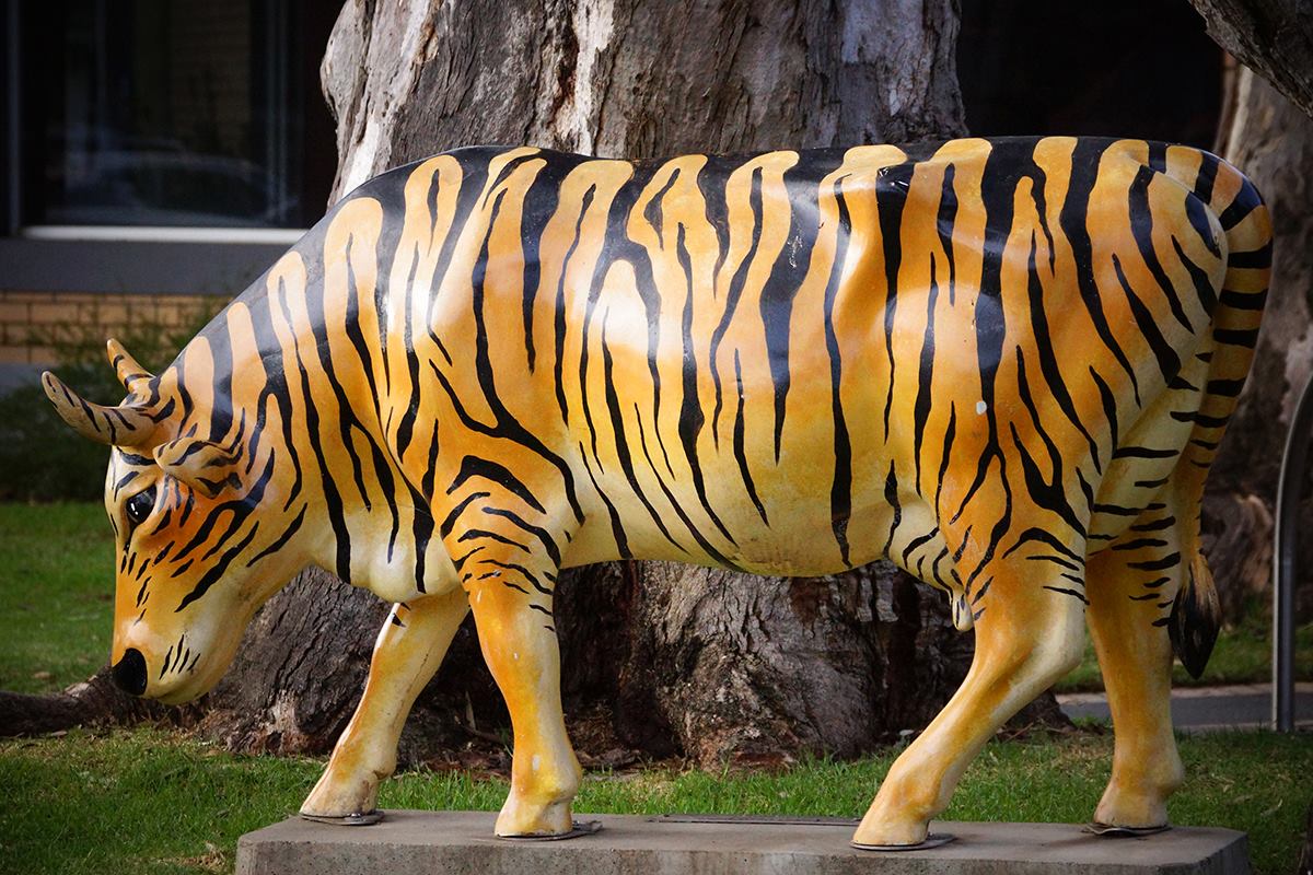 A cow statue with tiger stripes