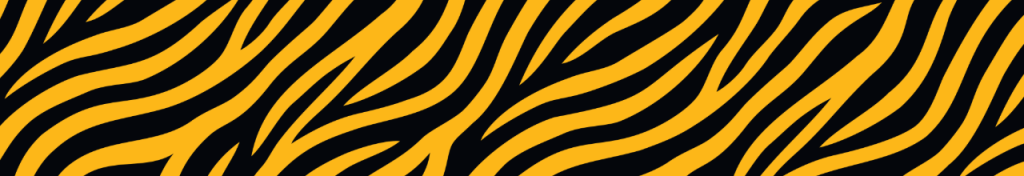 Stripes design only